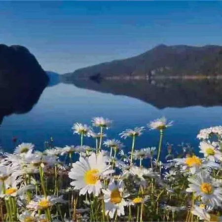 Semesterbostad Exclusive Family With View And Beautiful Norwegian Nature *